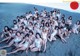 A group of women in white bathing suits posing for a picture on the beach.