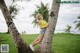 A woman leaning against a palm tree in a grassy field.