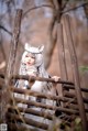 A woman dressed as a white wolf standing on a wooden bridge.